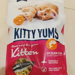 More Meat Less Grain Kitten
