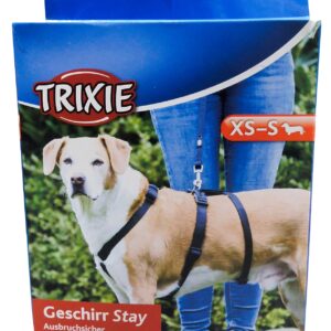 Trixie Stay Harness