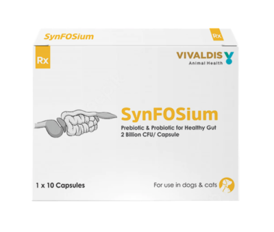 Vivaldis Synfosium Capsule For Dogs & Cats