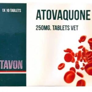 Vivaldis Atovaquin Tab 250MG 10''S