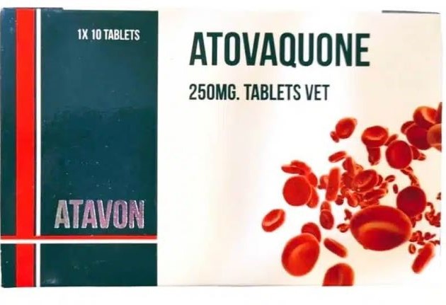 Vivaldis Atovaquin Tab 250MG 10''S