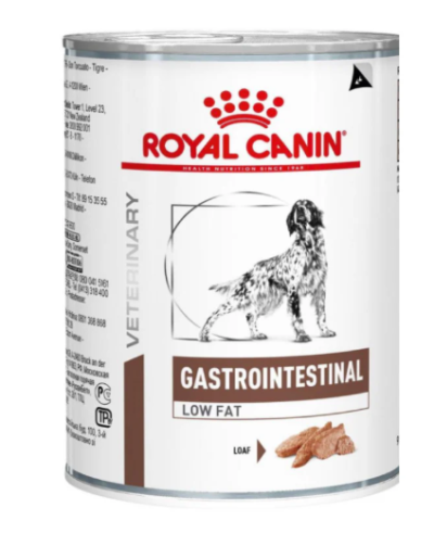 Royal canin veterinary diet Intestinal Gastro Dog Can  400
