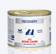 Royal canin veterinary diet Recovery Can 195GM