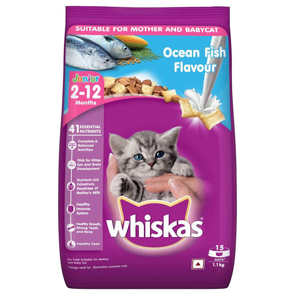 Whiskas Junior Ocean Fish Flavour With Milk Cat Dry Food - Image 2