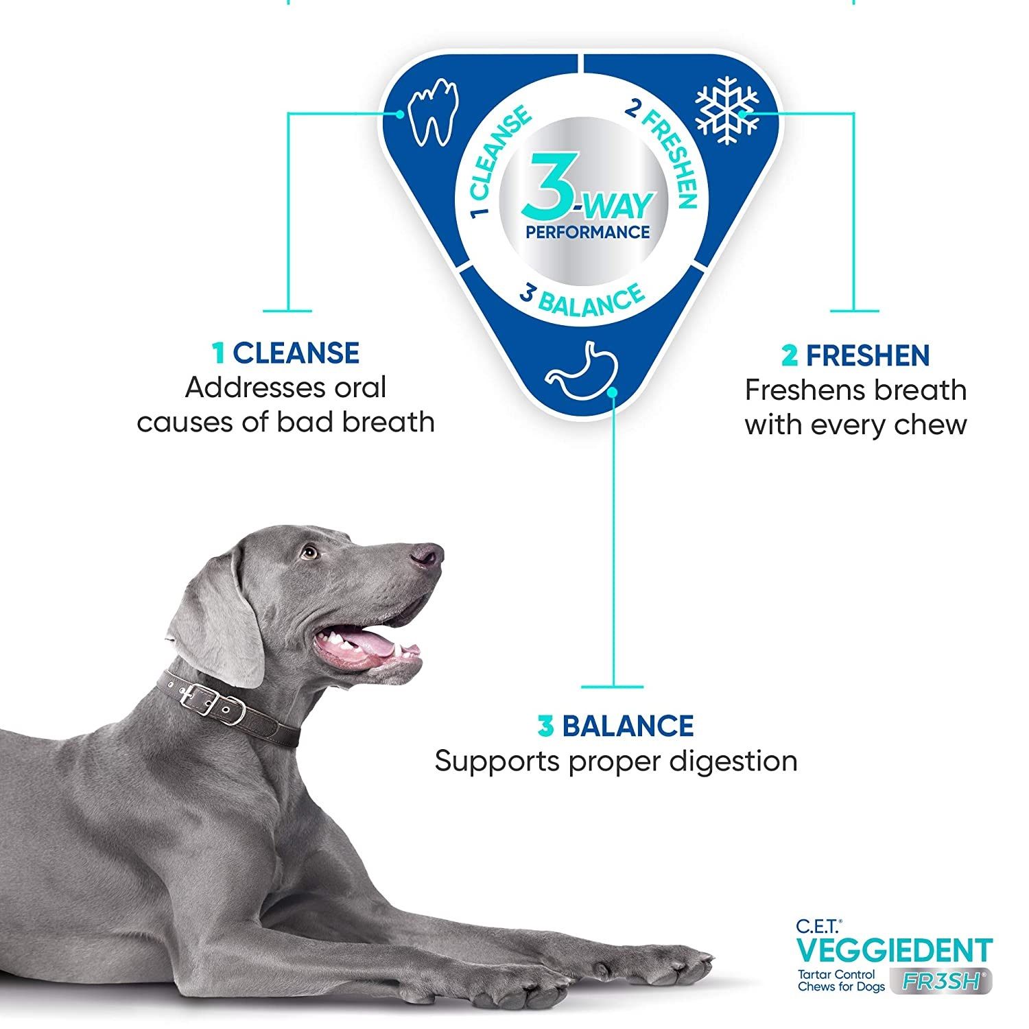 Virbac Veggie Dent Chews For Large Dogs Over 30 Kgs - Image 3