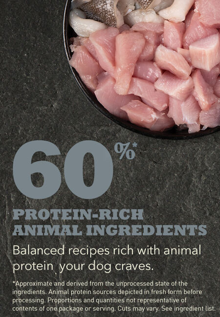 Acana Adult Small Breed Recipe - Image 3