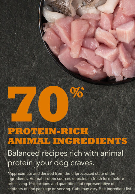 Acana Puppy Large Breed Recipe Dry Dog Food - Image 3