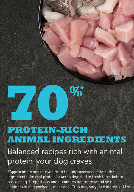 Acana Puppy Small Breed Recipe Dry Dog Food - Image 3