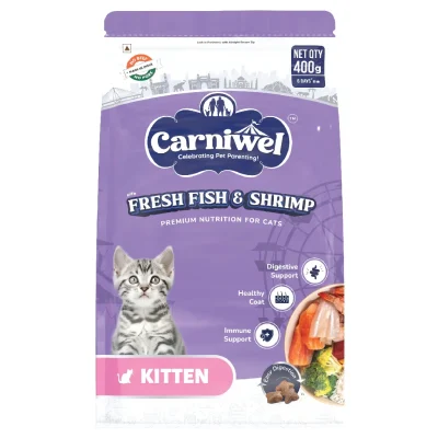 Fresh Fish & Shrimp Kitten