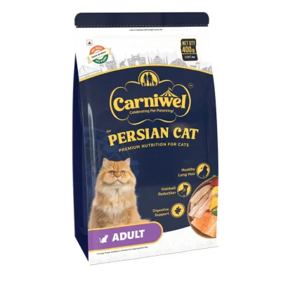 Persian Cat Adult