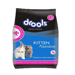 Drools Cat Kitten Ocean Fish