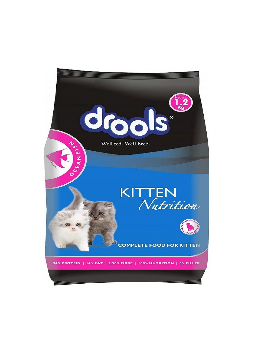 Drools Cat Kitten Ocean Fish