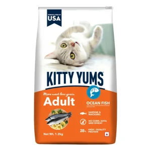 Drools Kitty Yums Cat Adult Ocean Fish Dry Food