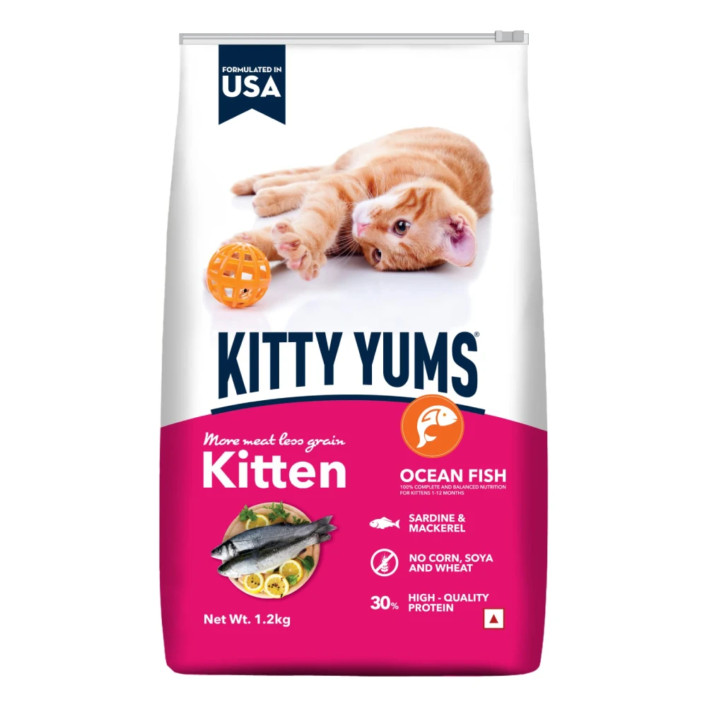 Drools Kitty Yums Kitten Ocean Fish Cat Dry Food