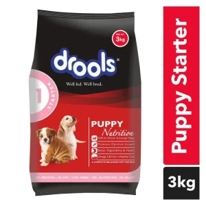 Drools Puppy Starter