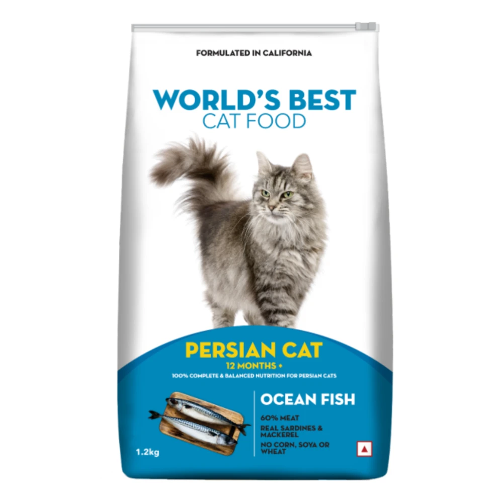 Drools World best Persian Cat food Ocean fish flavor