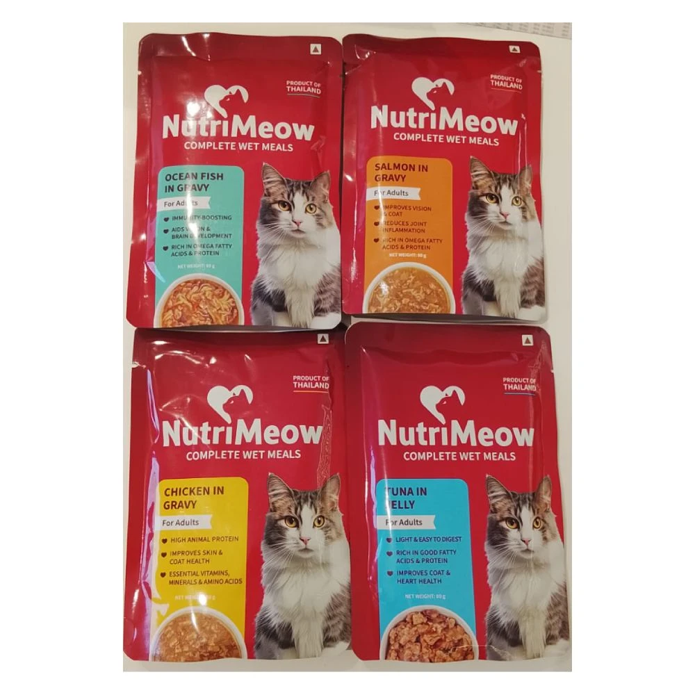 Ocean Fish In Gravy for Adults